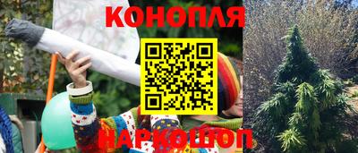 крисы Тулун