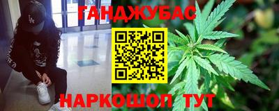 крисы Тулун
