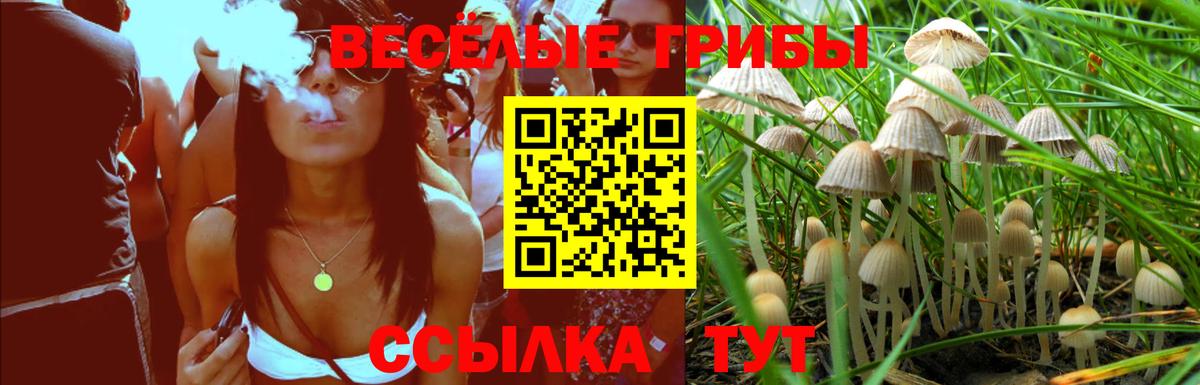 Галлюциногенные грибы мухоморы Волхов