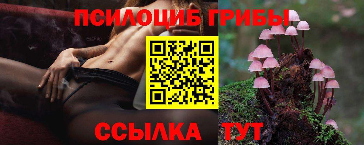 Галлюциногенные грибы Cubensis  Вход с VPN  Волхов 