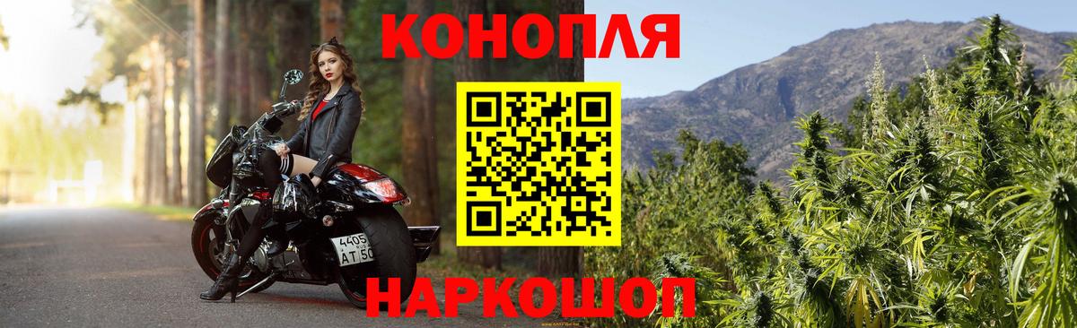 Волхов  Бошки марихуана планчик  Вход с VPN  Конопля семена  Конопля ГИДРОПОН 